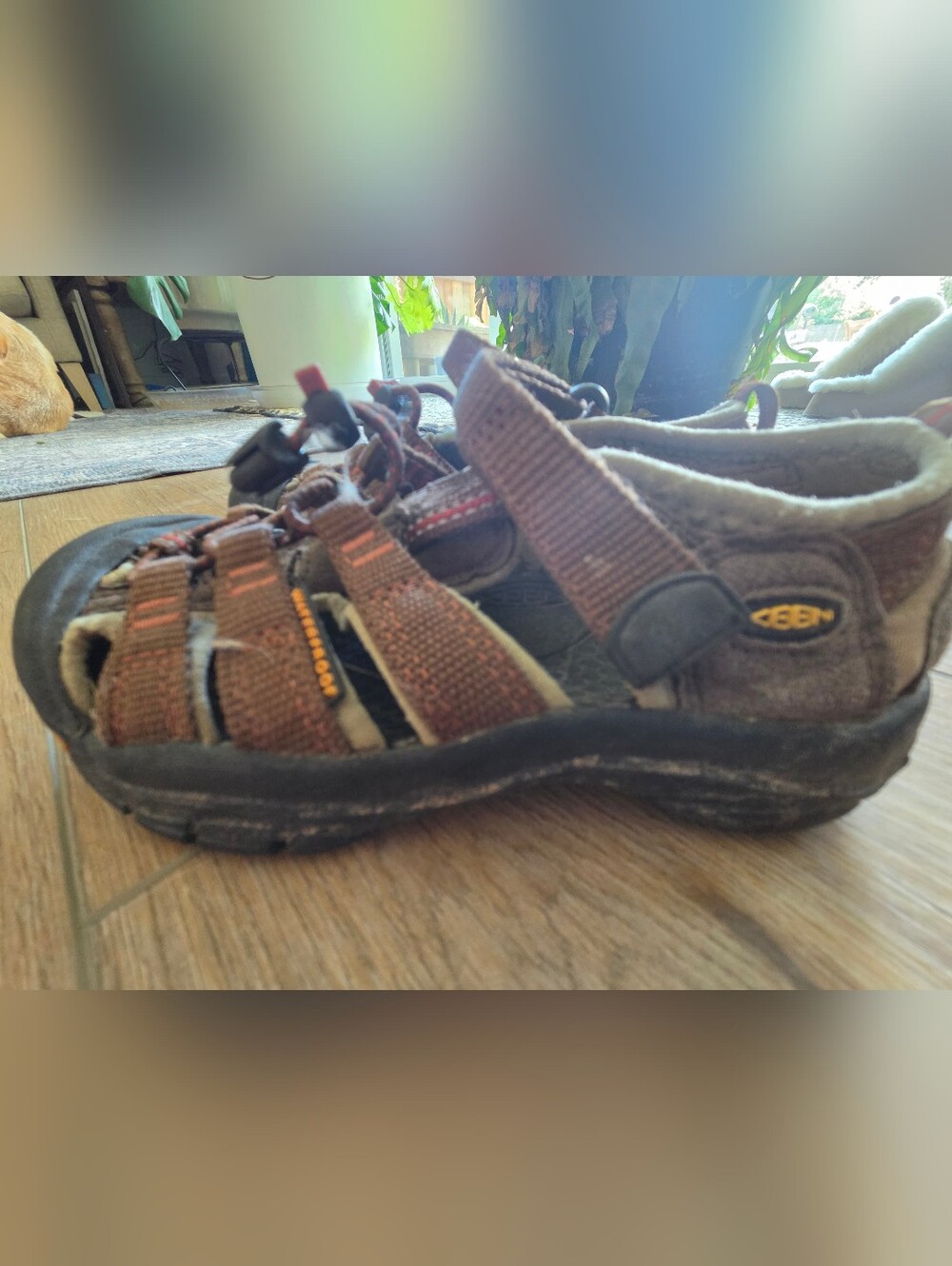KEEN Kids 12.5 Waterproof Brown Hiking Sandal
